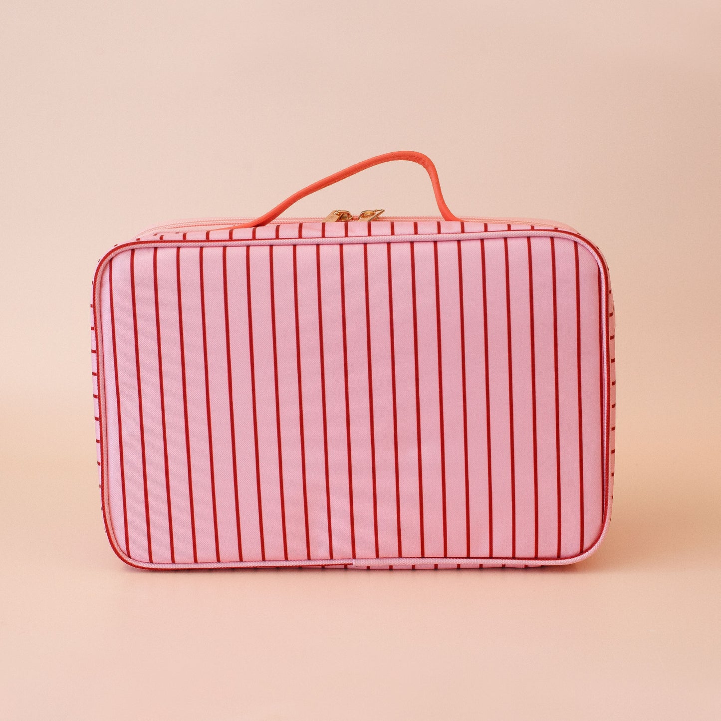Large Lunch Bag - Strawberry Stripe