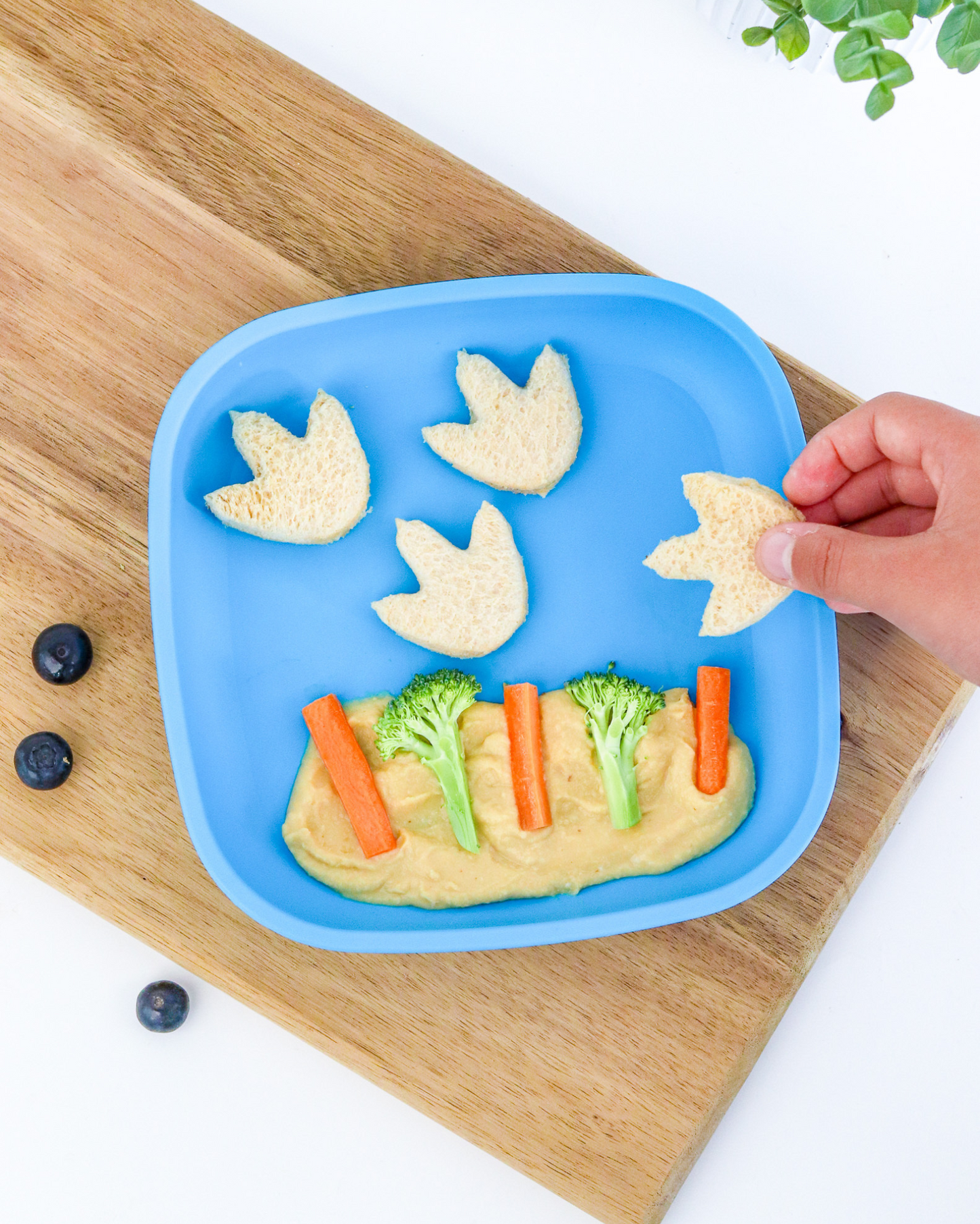 Sandwich Cutters - Dinosaurs