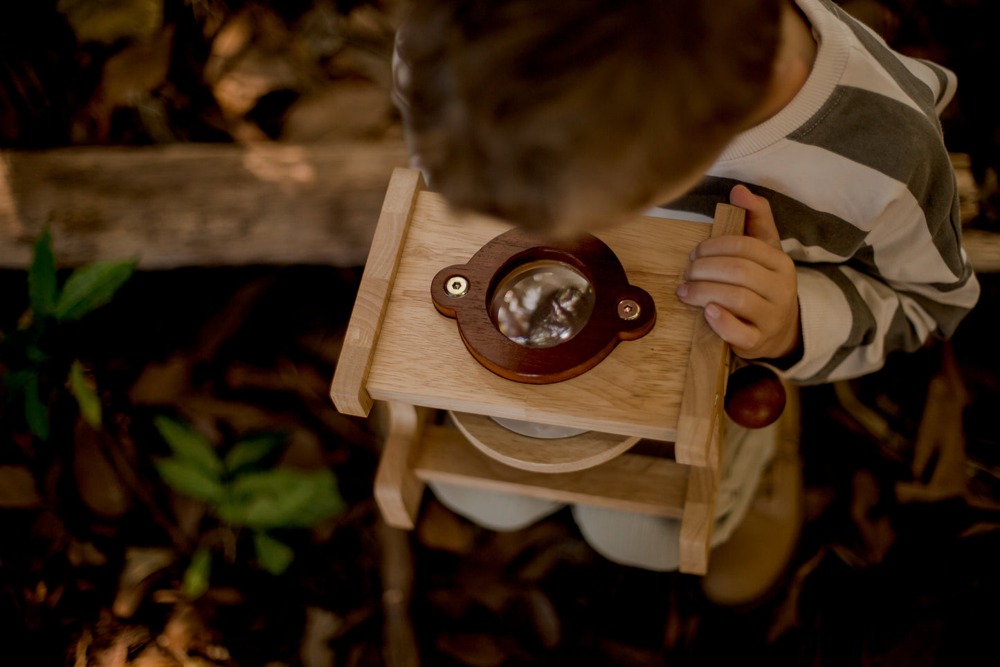 Wooden Microscope