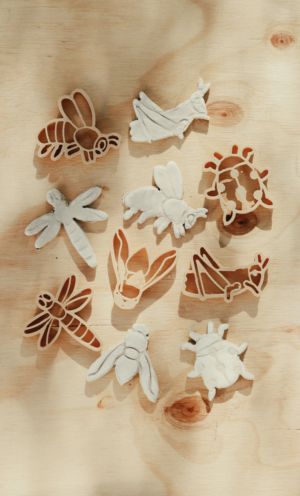 Eco Cutter Set - Mini Insect