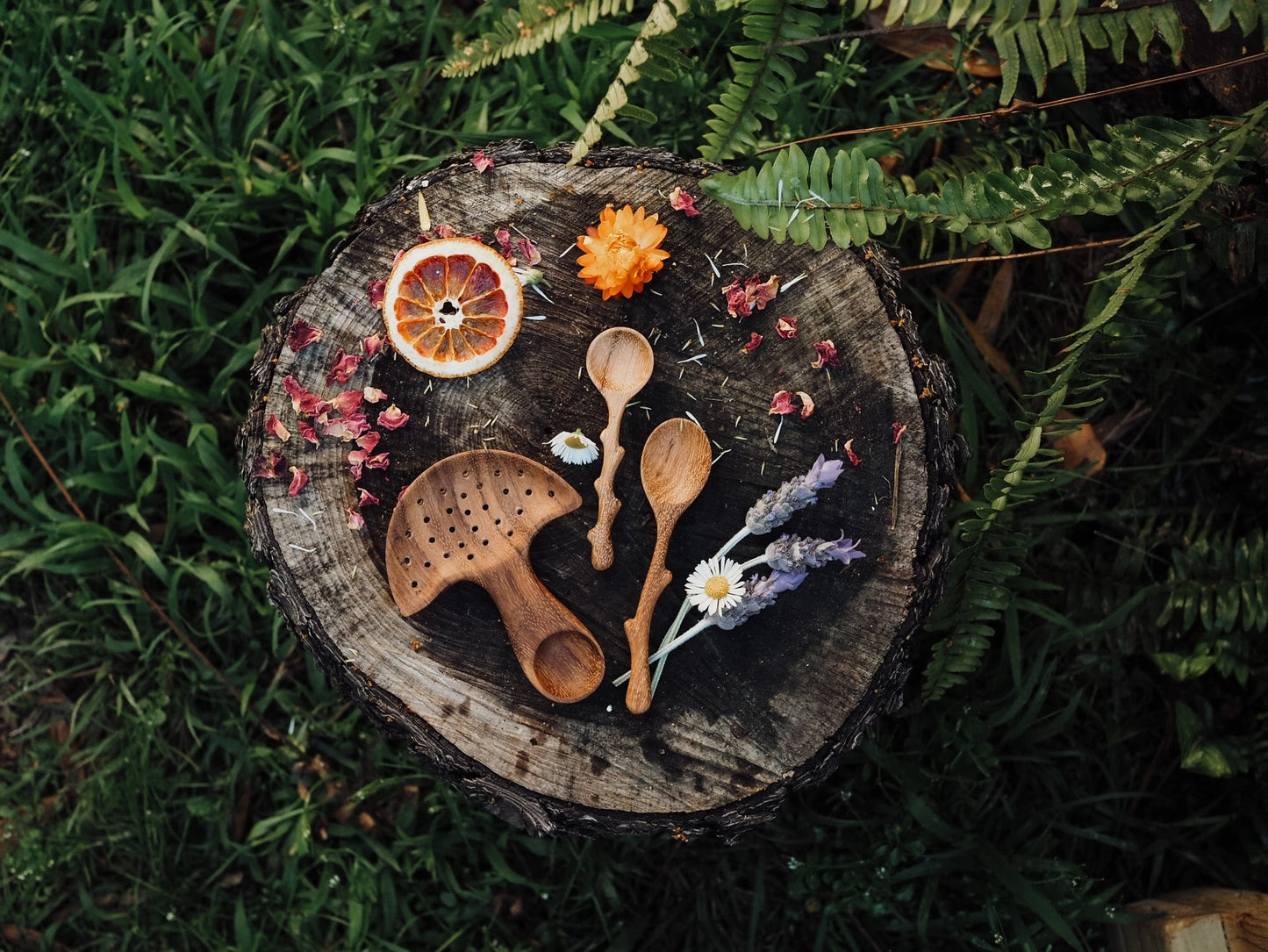 Mushroom Multi Tool