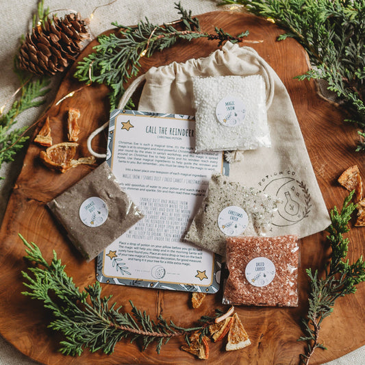 PRE ORDER - Potion Pouch Magic Kit - Christmas Eve - Call the Reindeer