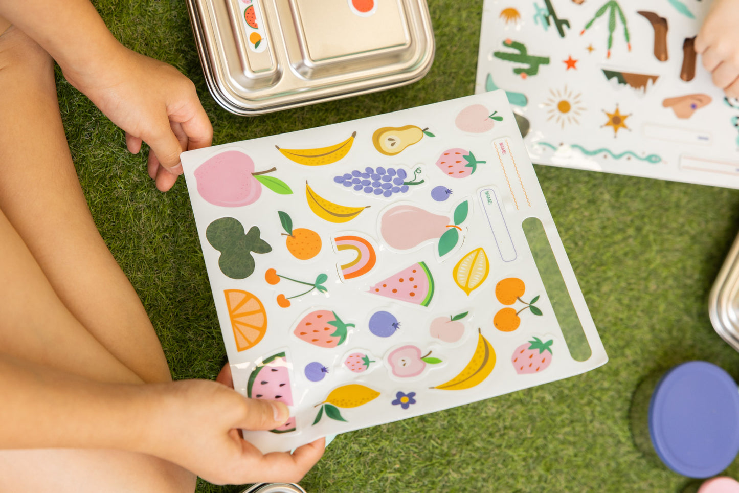 Reusable Lunch Box Stickers - Tutti Fruitti