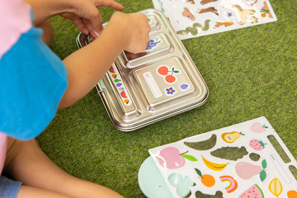 Reusable Lunch Box Stickers - Tutti Fruitti
