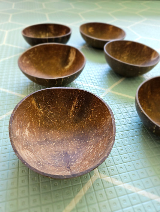 Coconut Bowl set of 6
