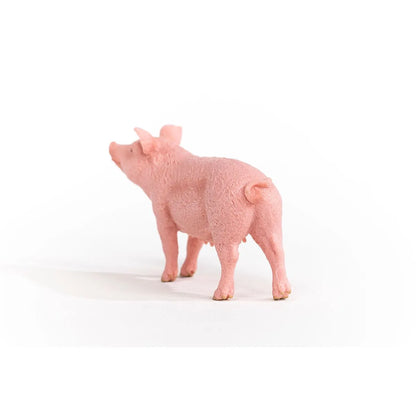 Pig