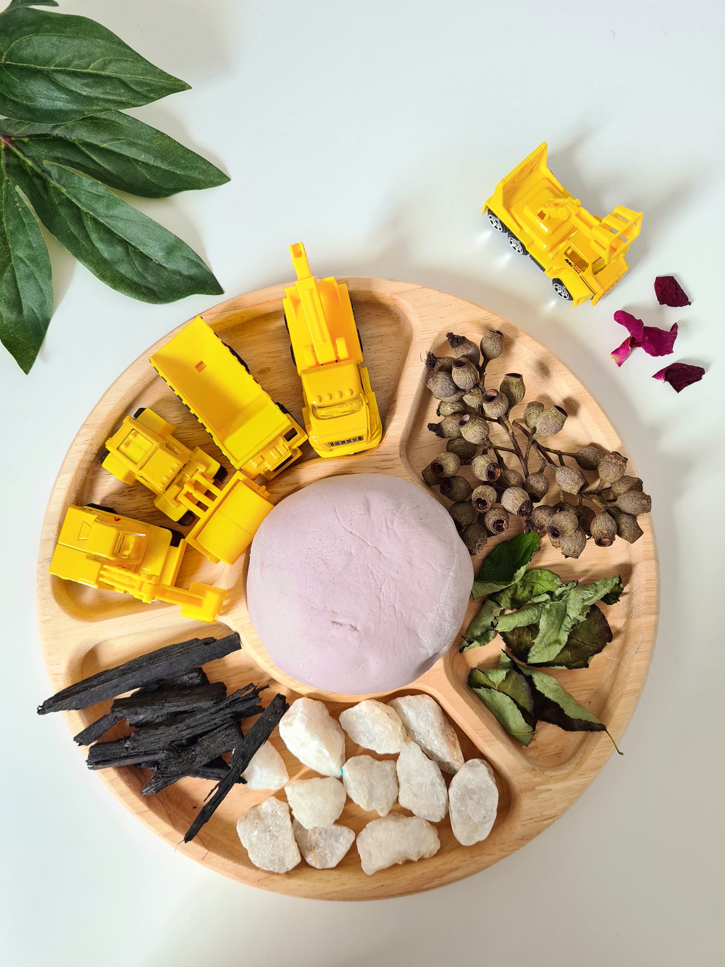 Round Divided Tray