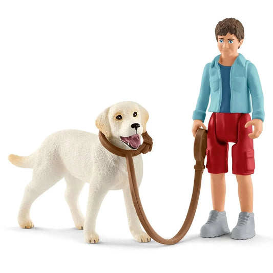 Walking a Labrador Retriever