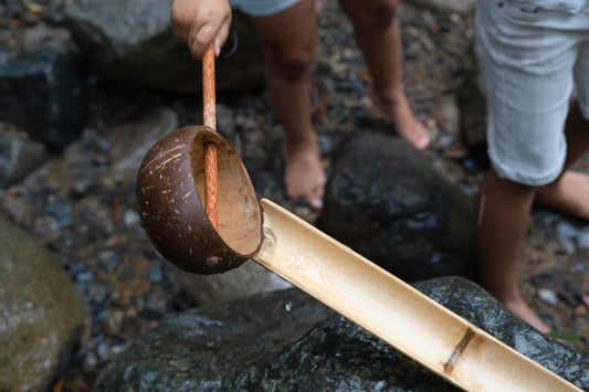 Coconut Scoop