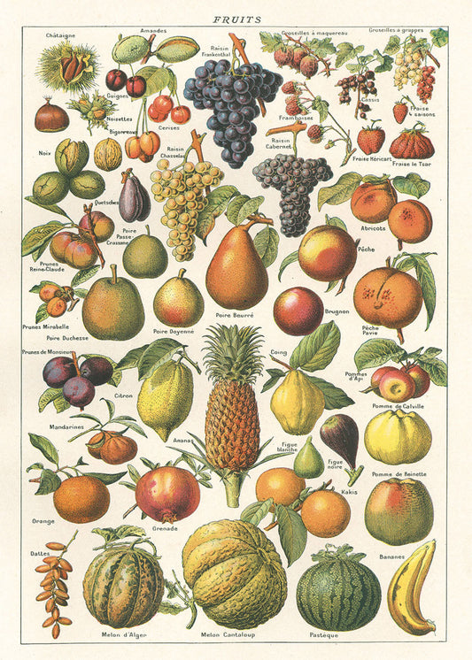 Vintage inspired Poster - Fruit