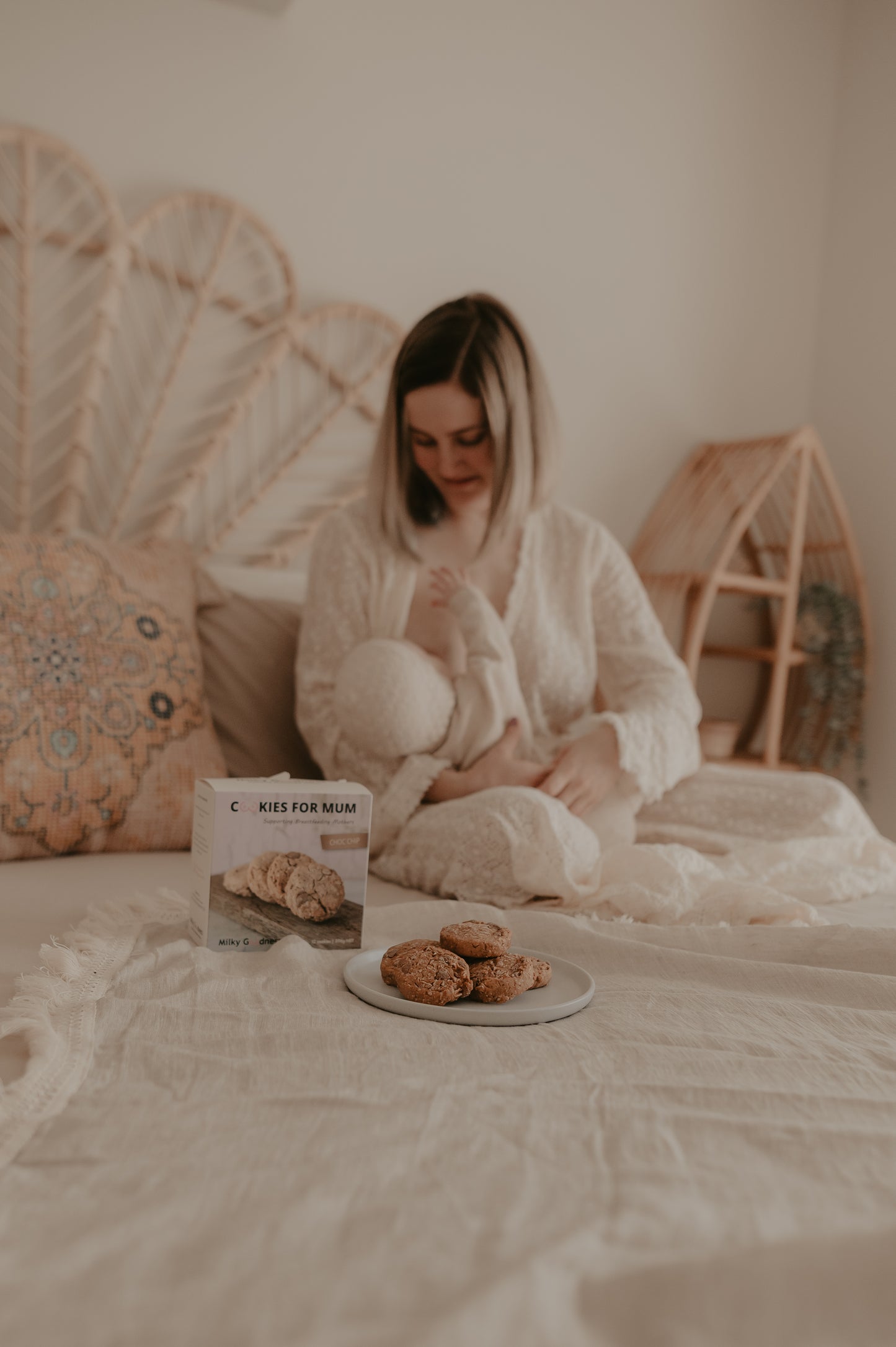 Lactation Cookies - Choc Chip