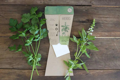 Trio of Herbs Gift of Seeds