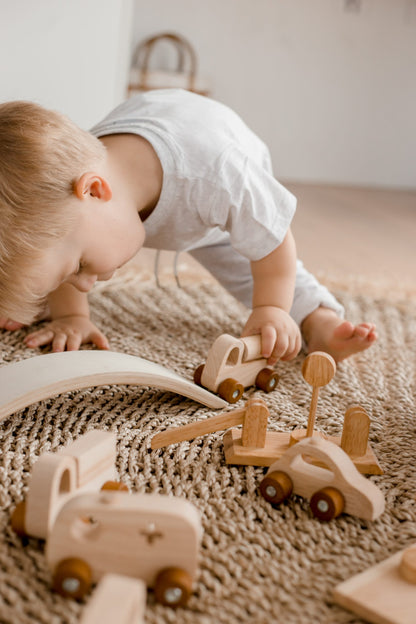 Mixed Wooden Vehicle Play Set