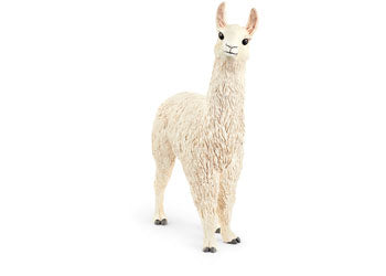 Llama