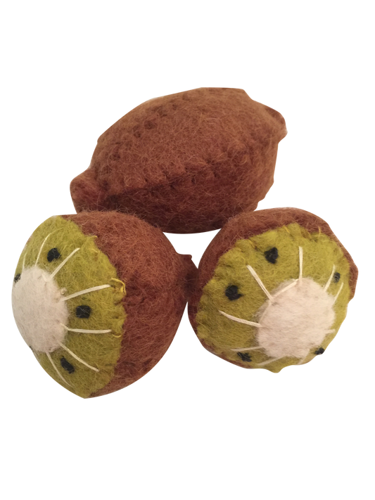 Felt Kiwi Fruit Set