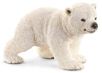 Polar Bear Cub Walking