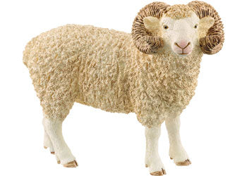 Ram