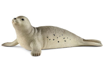 Seal