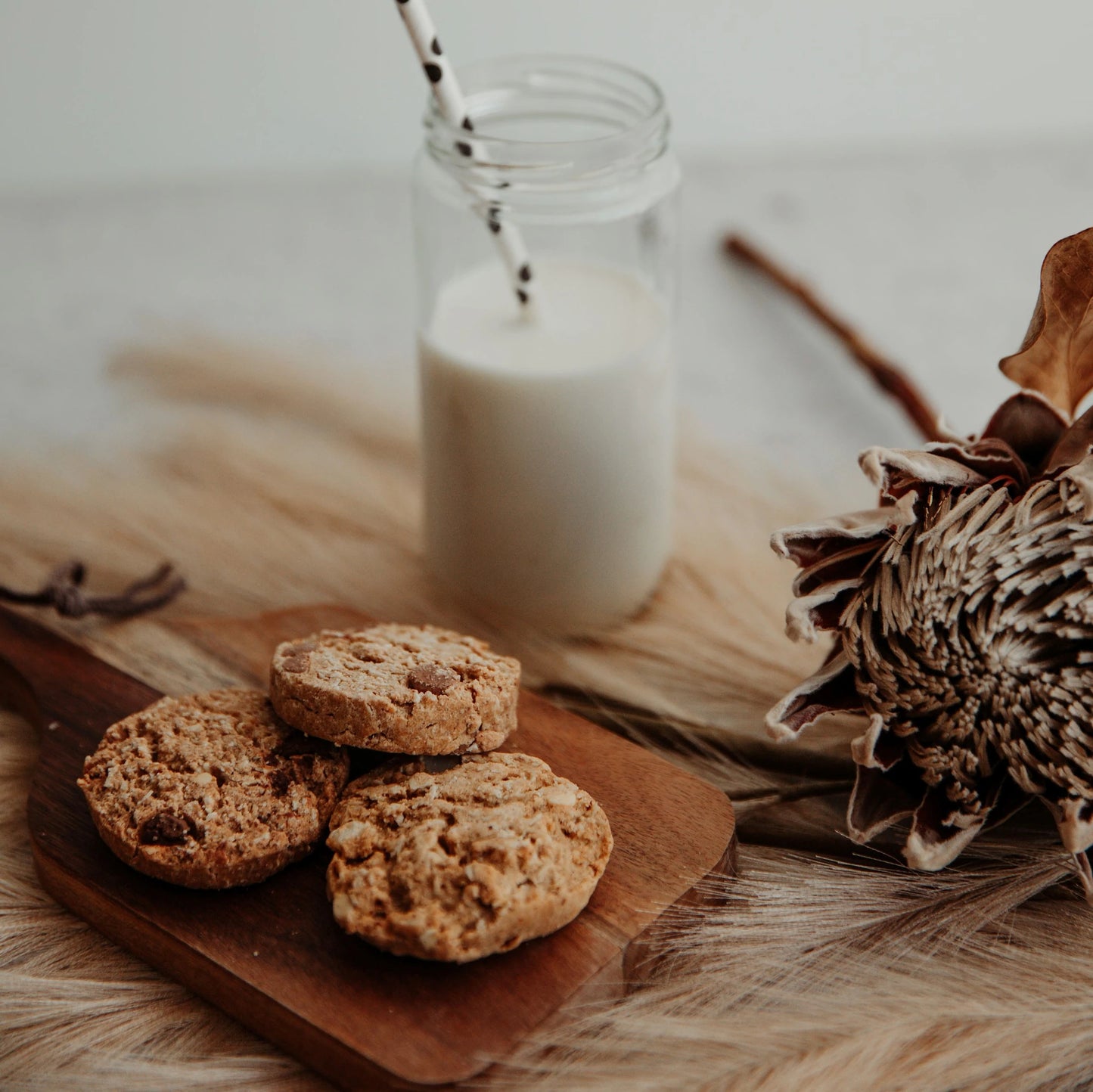 Lactation Cookies - Mixed Flavour Box