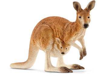 Kangaroo