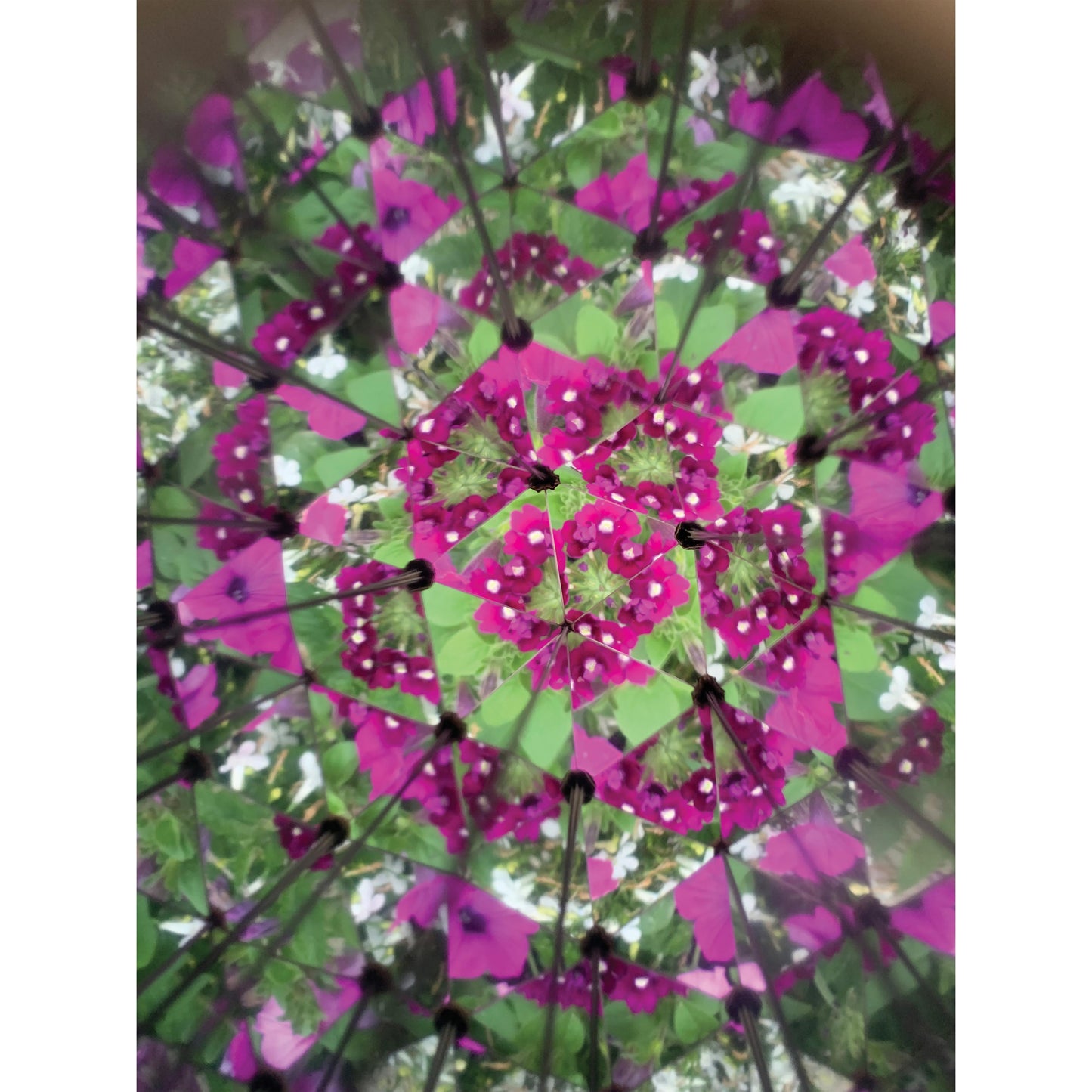 Kaleidoscope - Nature