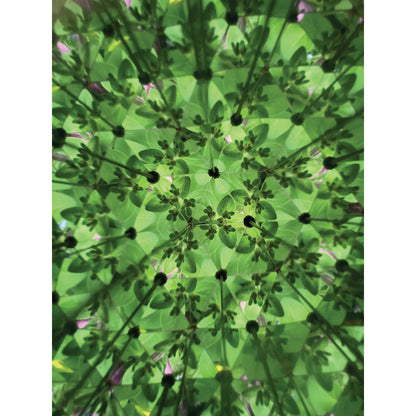Kaleidoscope - Nature